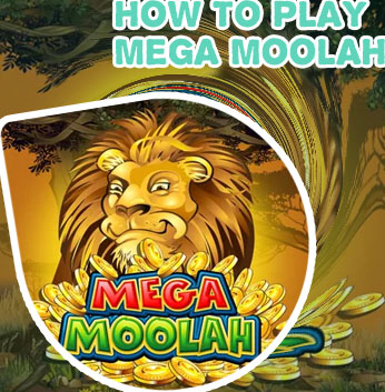 Mega moolah slot India